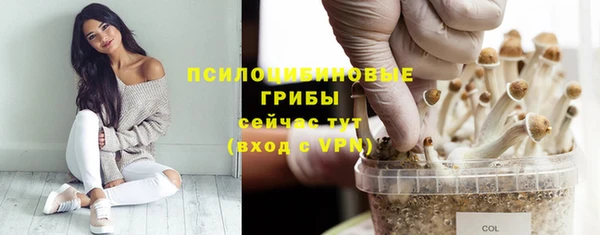 мефедрон Богданович