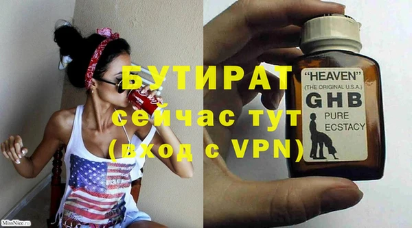 амф Тайга